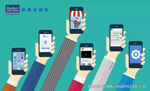 2019年中东跨境电商市场服务数据分析与数据处理服务洞察